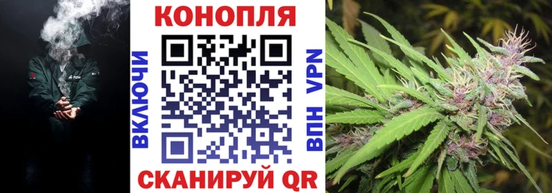 Шишки марихуана SATIVA & INDICA  Купить где  Людиново 
